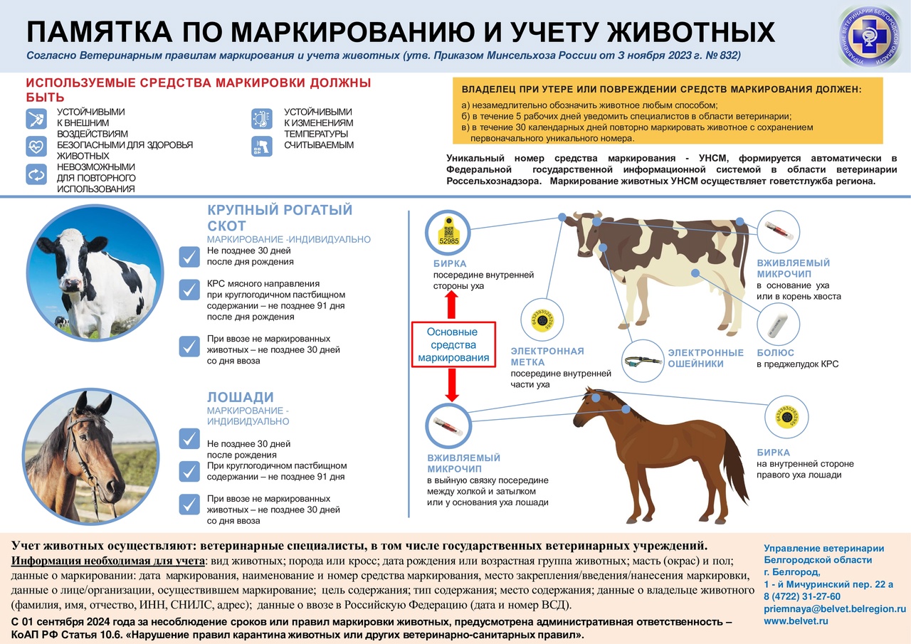 ❗Маркирование и учет сельскохозяйственных животных.