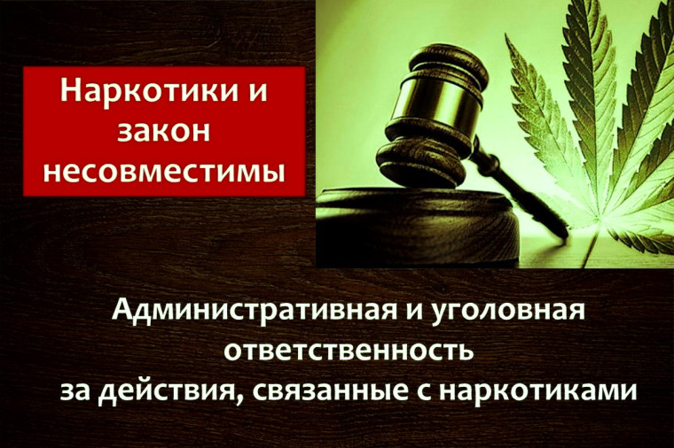 Об ответственности за культивирование наркосодержащих растений. Об ответственности за культивирование наркосодержащих растений.