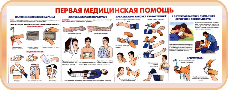 Лекция № 15 Оказание само- и взаимопомощи при ранениях, кровотечениях, переломах, ожогах. Основы ухода за больными». Лекция № 15 Оказание само- и взаимопомощи при ранениях, кровотечениях, переломах, ожогах. Основы ухода за больными».