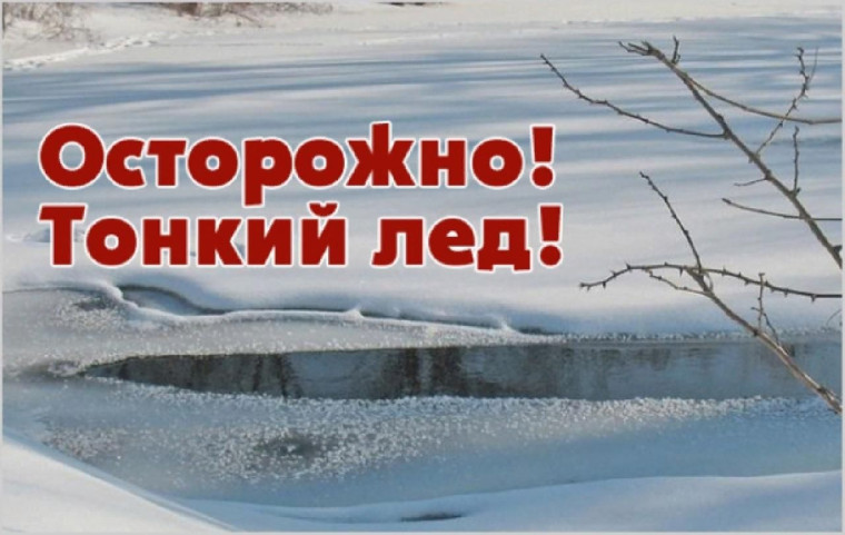 Фотографии. Фотографии.